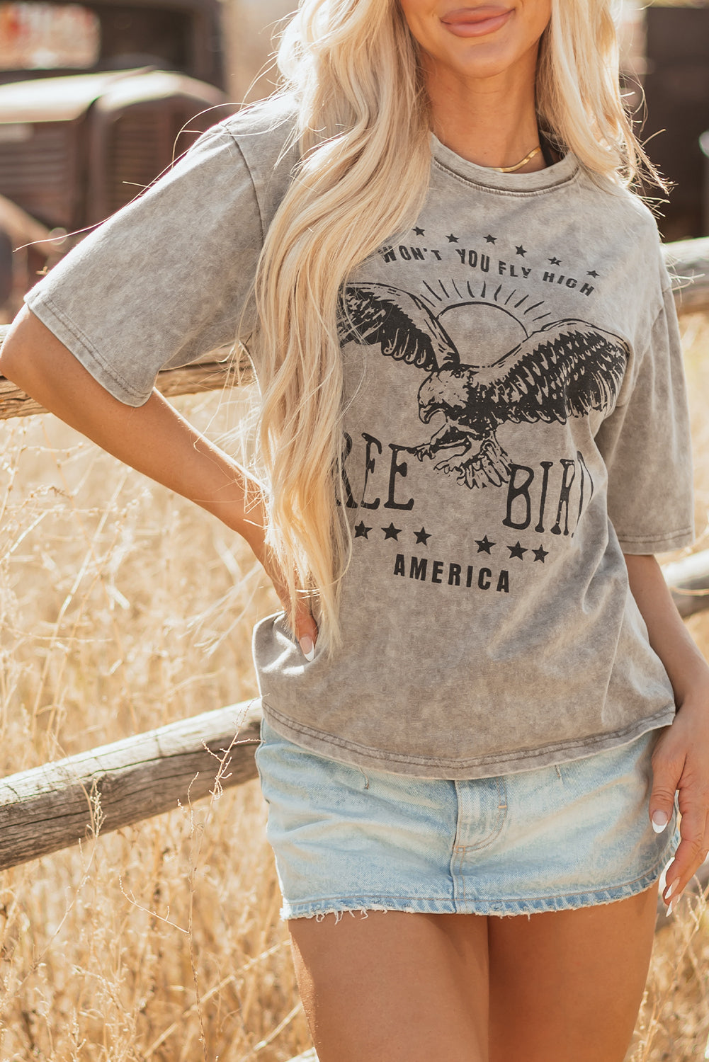 Parchment AMERICA FREE BIRD Vintage Graphic Mineral Washed Tee